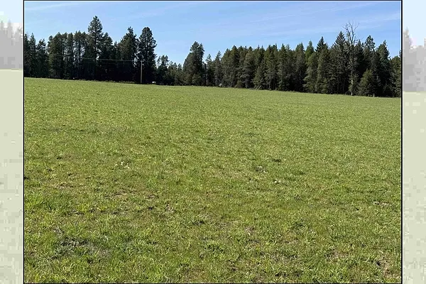 Property Photo MLS #: 202426257