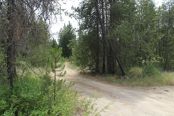 Property Photo MLS #: 202521258