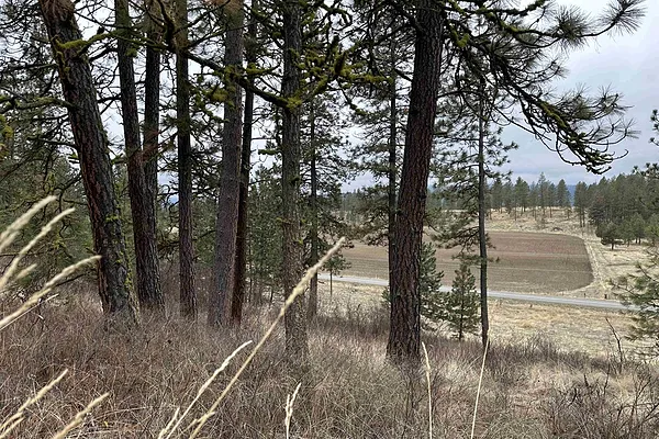 Property Photo MLS #: 202426260