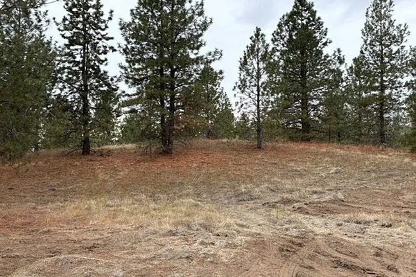 Property Photo MLS #: 202511270