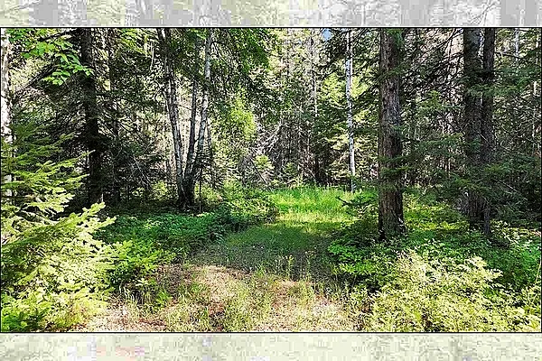 Property Photo MLS #: 202521299