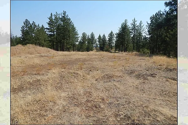 Property Photo MLS #: 202513300