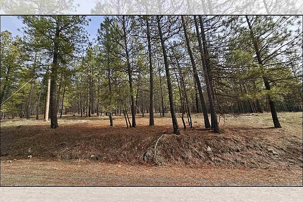 Property Photo MLS #: 202512302