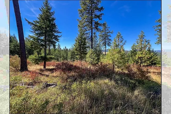 Property Photo MLS #: 202515303