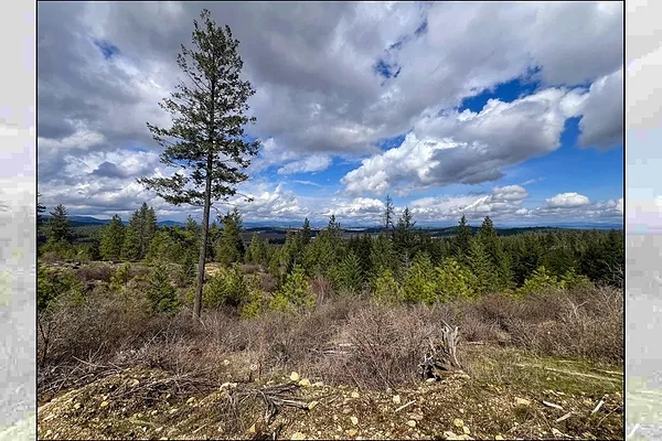 Property Photo MLS #: 202515307