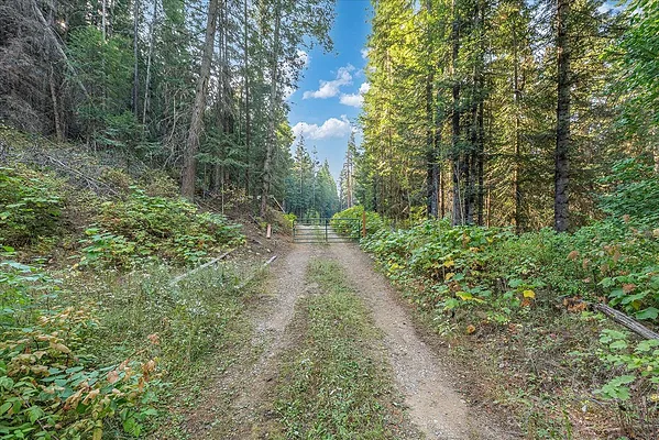 Property Photo MLS #: 202524311