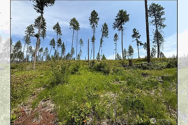 Property Photo MLS #: 2398318