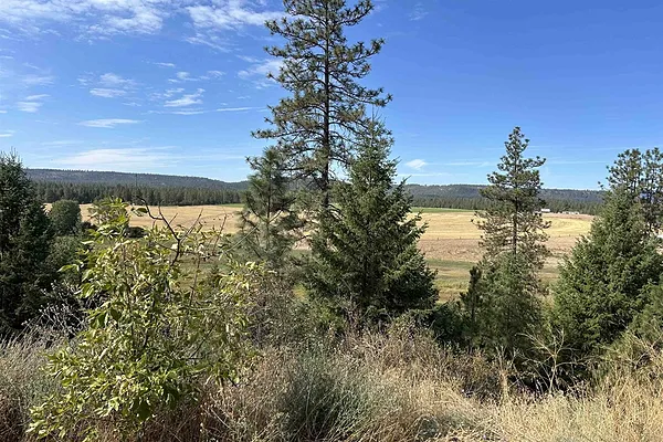 Property Photo MLS #: 202426320