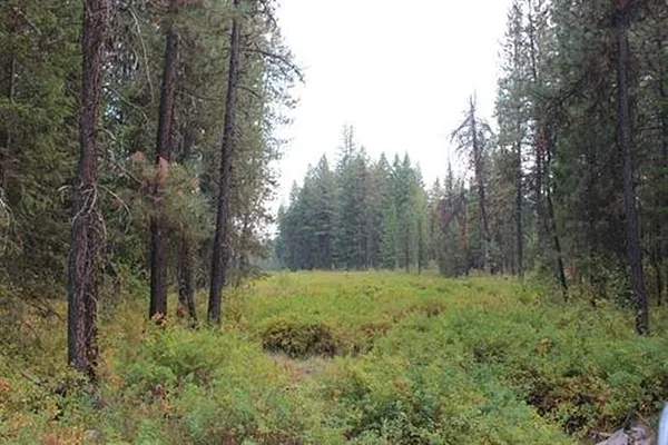 Property Photo MLS #: 202515333