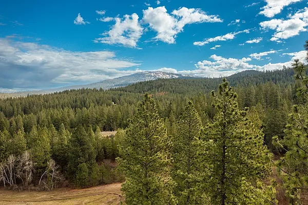 Property Photo MLS #: 202319355