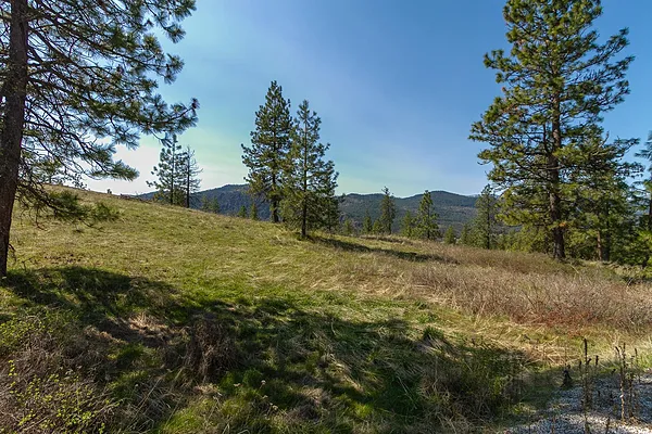 Property Photo MLS #: 202515356