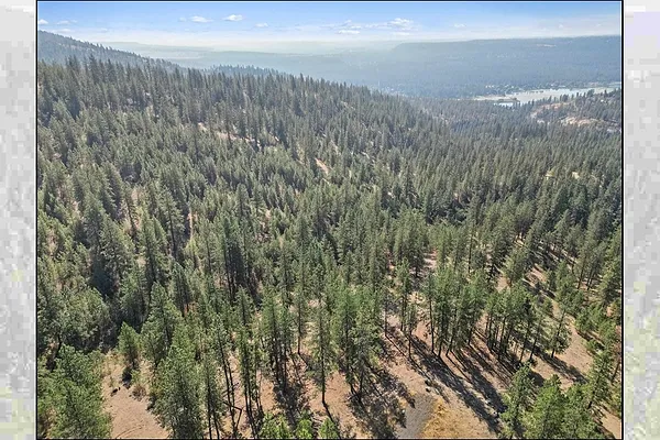 Property Photo MLS #: 202524356