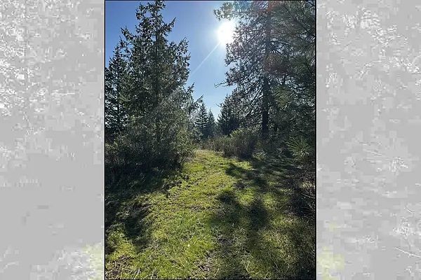 Property Photo MLS #: 202515359