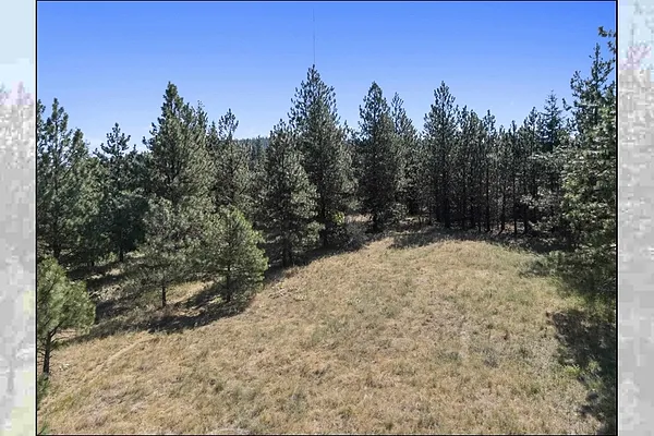Property Photo MLS #: 202521362