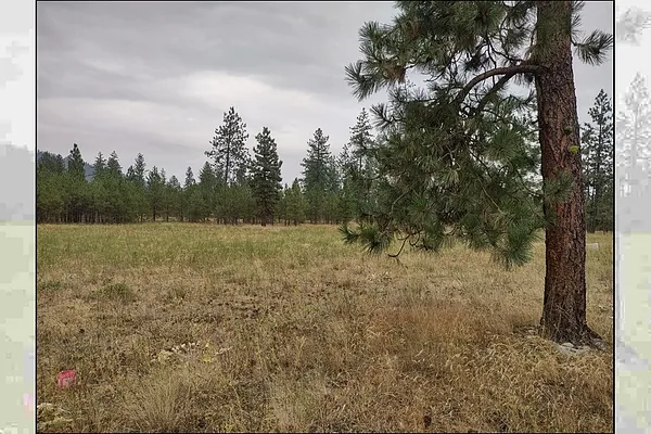 Property Photo MLS #: 202521372