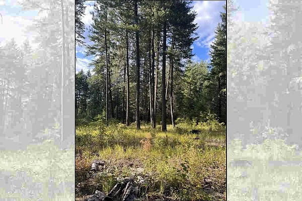 Property Photo MLS #: 202514375