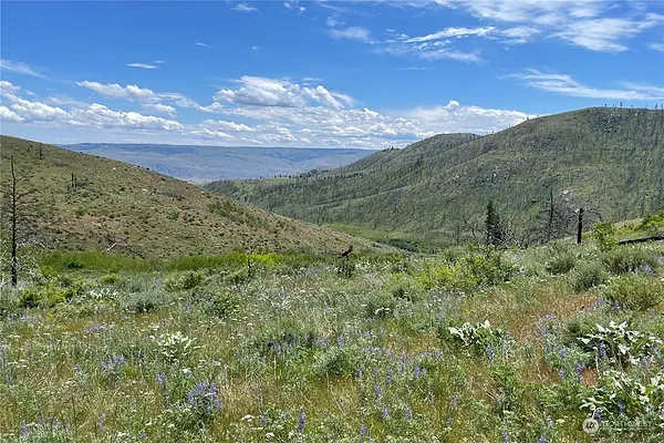 Property Photo MLS #: 2309376