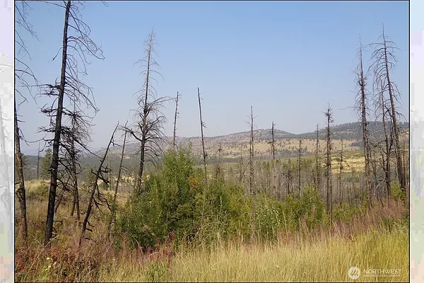 Property Photo MLS #: 2358377