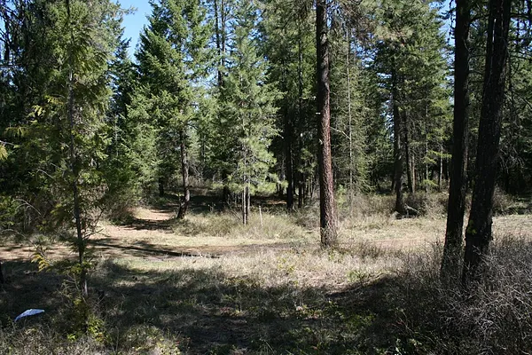 Property Photo MLS #: 202515380