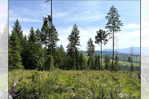 Property Photo MLS #: 2398380