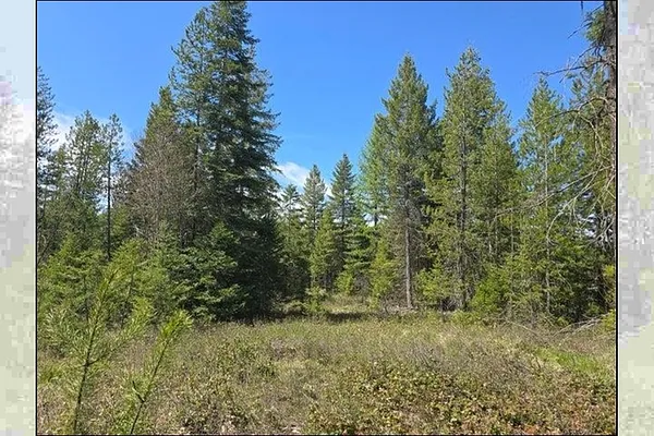 Property Photo MLS #: 202516381
