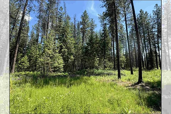 Property Photo MLS #: 202514388