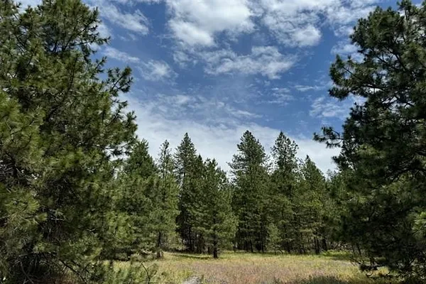Property Photo MLS #: 202511390