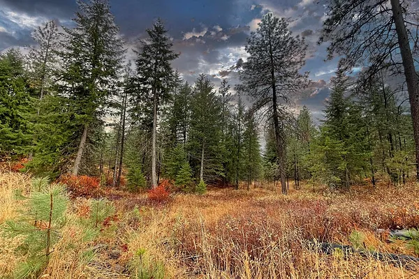 Property Photo MLS #: 202425392
