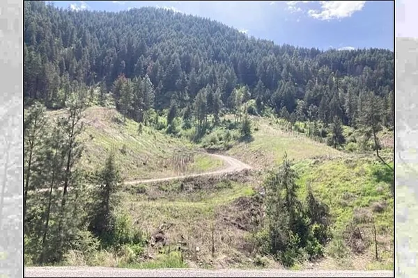 Property Photo MLS #: 202516393