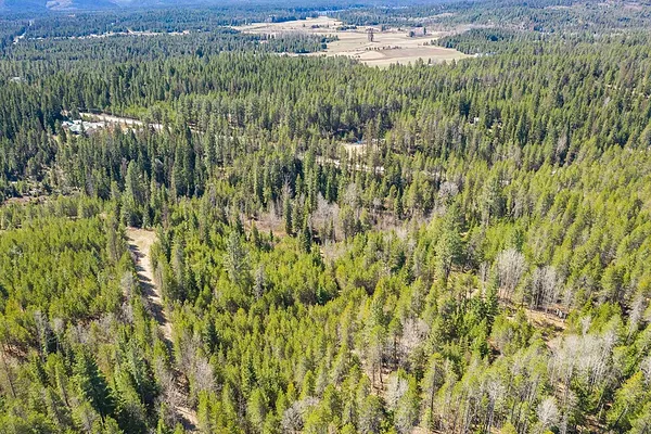 Property Photo MLS #: 202410398