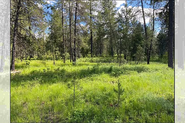 Property Photo MLS #: 202520403