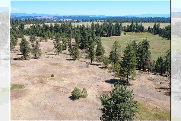 Property Photo MLS #: 202521403