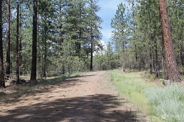 Property Photo MLS #: 2141403