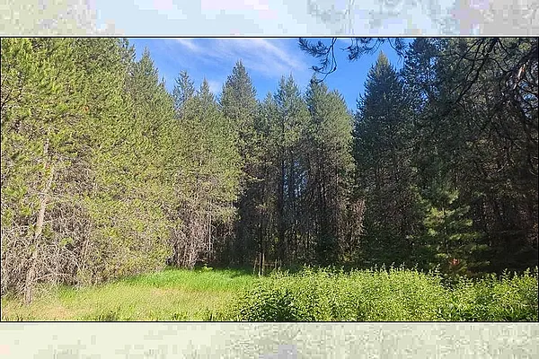 Property Photo MLS #: 202424406