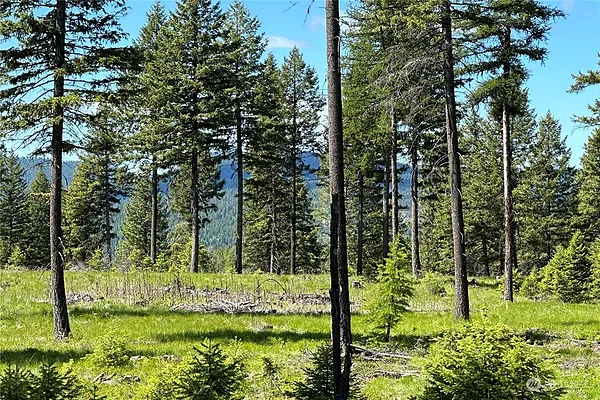 Property Photo MLS #: 2298418
