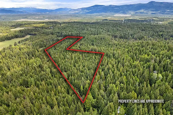 Property Photo MLS #: 202517420