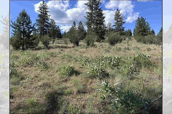 Property Photo MLS #: 202518427