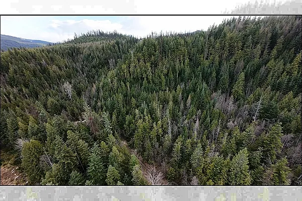 Property Photo MLS #: 202514438