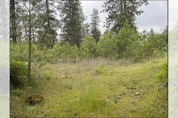 Property Photo MLS #: 202524438