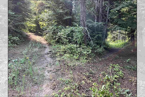 Property Photo MLS #: 202523439