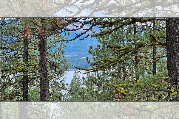 Property Photo MLS #: 2321442