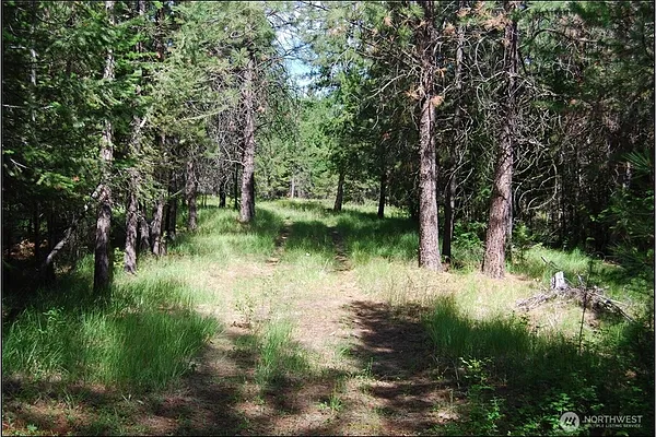 Property Photo MLS #: 2403448