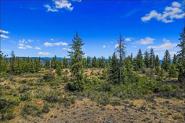 Property Photo MLS #: 202324451