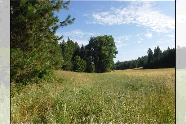 Property Photo MLS #: 202521455