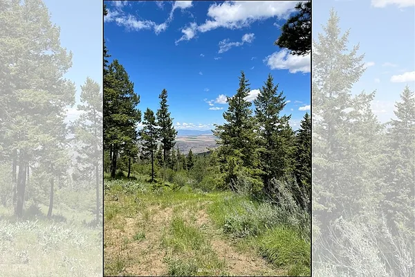 Property Photo MLS #: 1954461