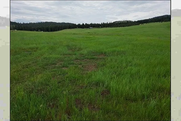 Property Photo MLS #: 202521466