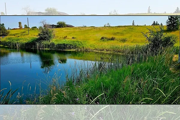 Property Photo MLS #: 202420467