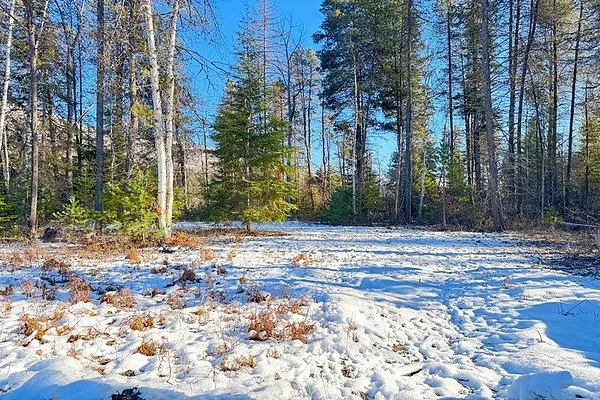 Property Photo MLS #: 202511470