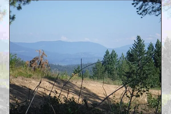 Property Photo MLS #: 202521472