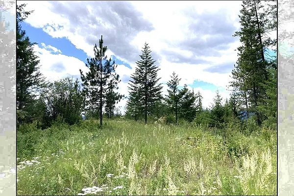 Property Photo MLS #: 202521475